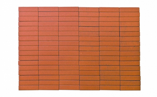 Плитка тротуарная BRAER Прямоугольник оранжевый, 200*50*60 мм